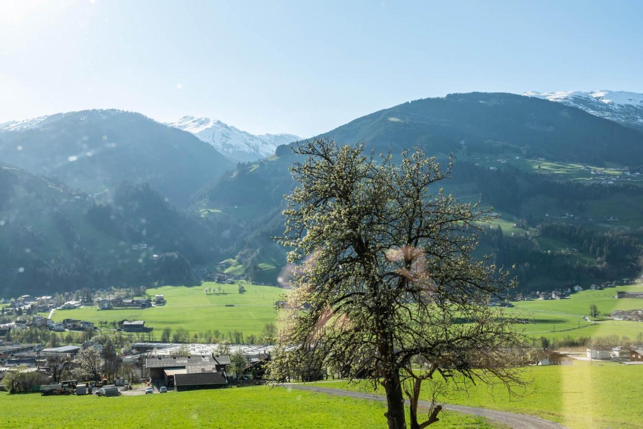 Staudach - Alpinresidenz Zillertal Villa Ramsau im Zillertal Dış mekan fotoğraf
